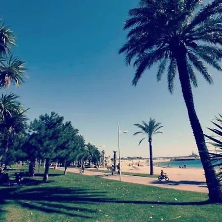 Apartment Chez Elo : Mourillon - Neuf - 1min Des Plages - Belle Vue